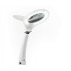 LED Magnifying glass with lamp and base  (Prym) - 1pcs