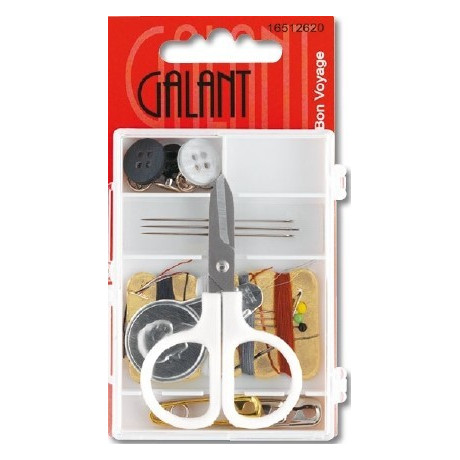 Bon Voyage sewing kit